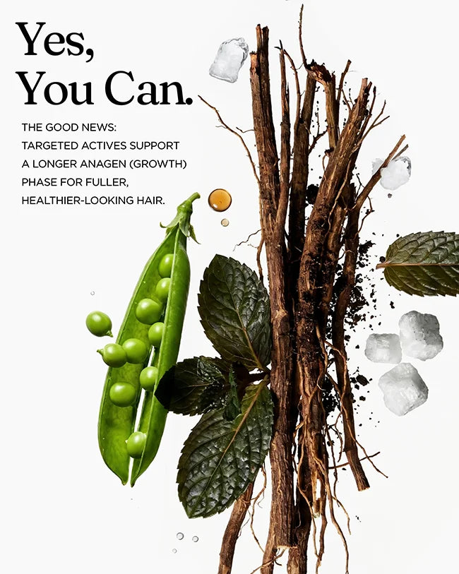 Targeted actives support a longer anagen growth phase for fuller, healthier-looking hair