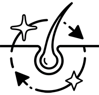 Hair fall control and growth-phase support