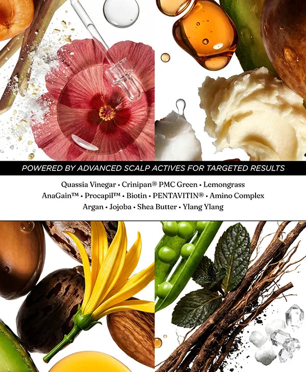 The Pre-Shampoo Scalp Whip Cream with DHT defense and anagen growth-phase support, powered by AnaGain™, Procapil™, Biotin, argan, shea butter and Crinipan® PMC Green