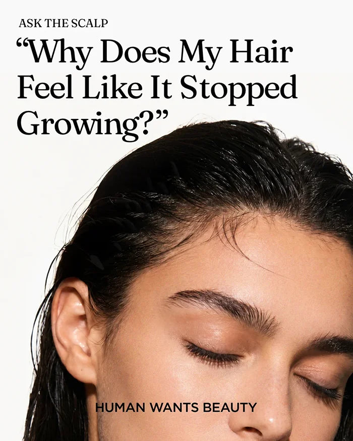 Why does my hair feel like it stopped growing?
