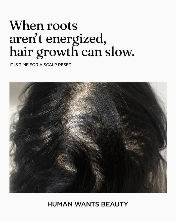 The Hold The Hairline Biotin Shampoo for energized roots, hair growth support and a complete scalp reset